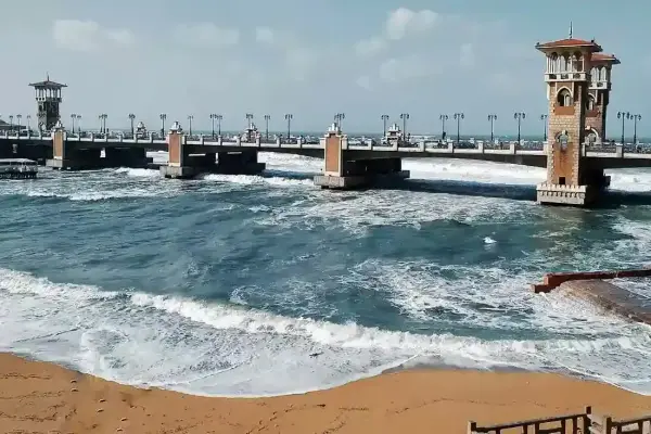 Alexandria Half Day Tour – Book Your Experience